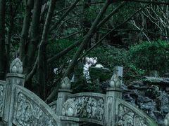 -深圳国际园林花卉博览园