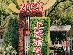 -上海共青森林公园