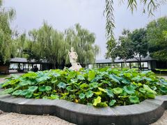 -白洋淀风景区