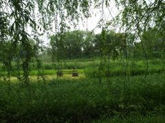 -长兴太湖图影湿地文化园