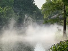 -上海滨江森林公园