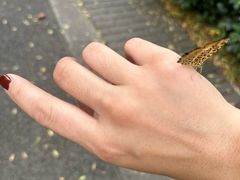 -都江堰中华大熊猫苑