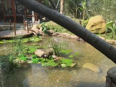 -塞纳河法国餐厅(意式风情街店)