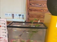 -竹雀古法采耳(青岛麦凯乐店)