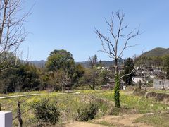 -塔川景区