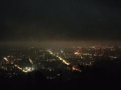 -长虫山生态公园风景林
