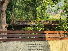 -火炉山森林公园