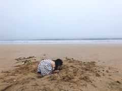 -普陀山风景名胜区-千步大沙