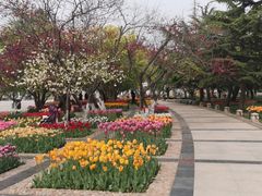 -石家庄市植物园