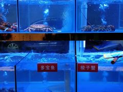 -小龍鳳·港式海鲜打边炉(沙湖路店)