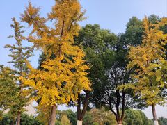 -九里河湿地公园