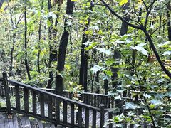 -帽儿山国家森林公园