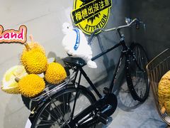 -榴梿乐园