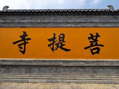 -台儿庄古城