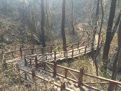 -大岭沟猕猴桃谷风景区