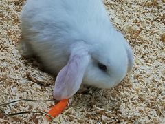 -上海大自然野生昆虫馆