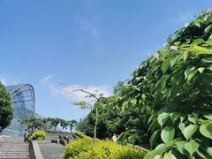 -南山植物园