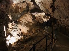 -波斯托伊纳溶洞