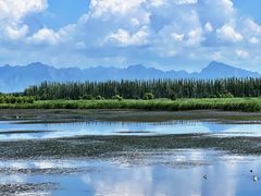 -野鸭湖国家湿地公园