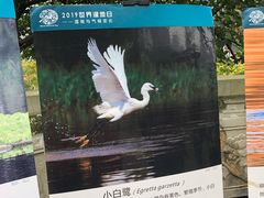 -重庆彩云湖湿地公园