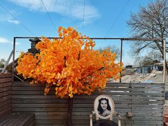 -16毫米咖啡&酒吧(南锣鼓巷店)