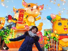 -淄博花灯齐彩城