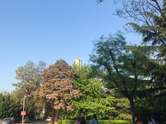 -东财大盘鸡(黑石礁店)