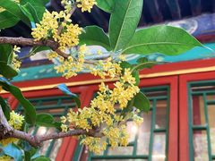 -颐和园