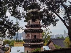 -赭山公园