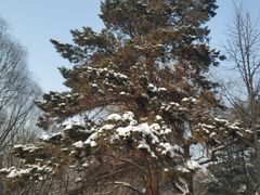 -锦绣公园