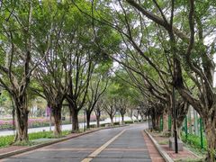 -云溪植物园