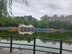 -莲湖公园