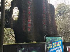-武隆天坑地缝国家地质公园