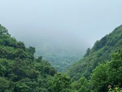 -东白山