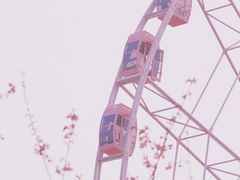 -自然谷恐龙园