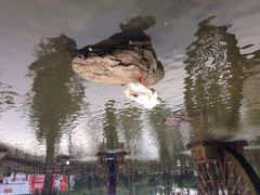 iphone_upload_pic-巴人堂(女儿城店)