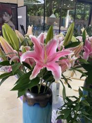 -瑞鑫创美·高定轻医美