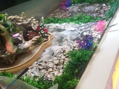 -银鲨海鲜烤肉火锅自助餐厅(五星店)