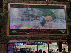 -呀诺达热带雨林