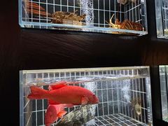 -鱼翅楼·津派砂锅鱼翅(水上公园店)