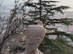 -信号山公园