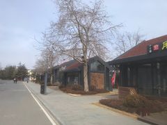 -日照海滨国家森林公园