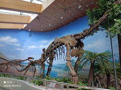 -延庆地质公园博物馆