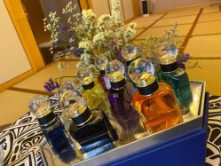 -彩虹之门健康管理