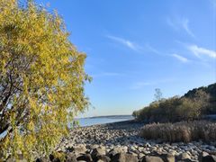 -上海吴淞炮台湾国家湿地公园