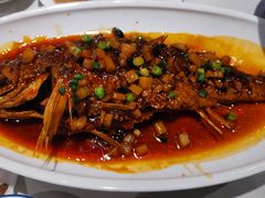 -新侨小馆(东直门北小街店)