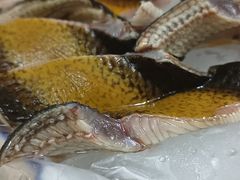 -棠记大排档(海珠店)