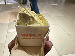 -野人先生现做冰淇淋(北京环宇荟店)