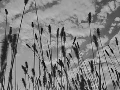 -沈阳师范大学-图书馆