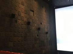 放映厅-成都百丽宫影城(LUXE太古里店)